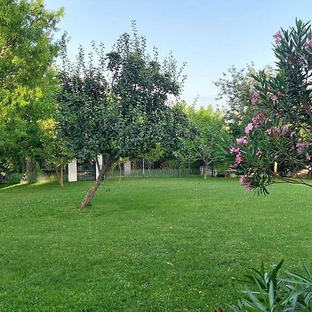 Apartment Oaza Relax Koper Dış mekan fotoğraf
