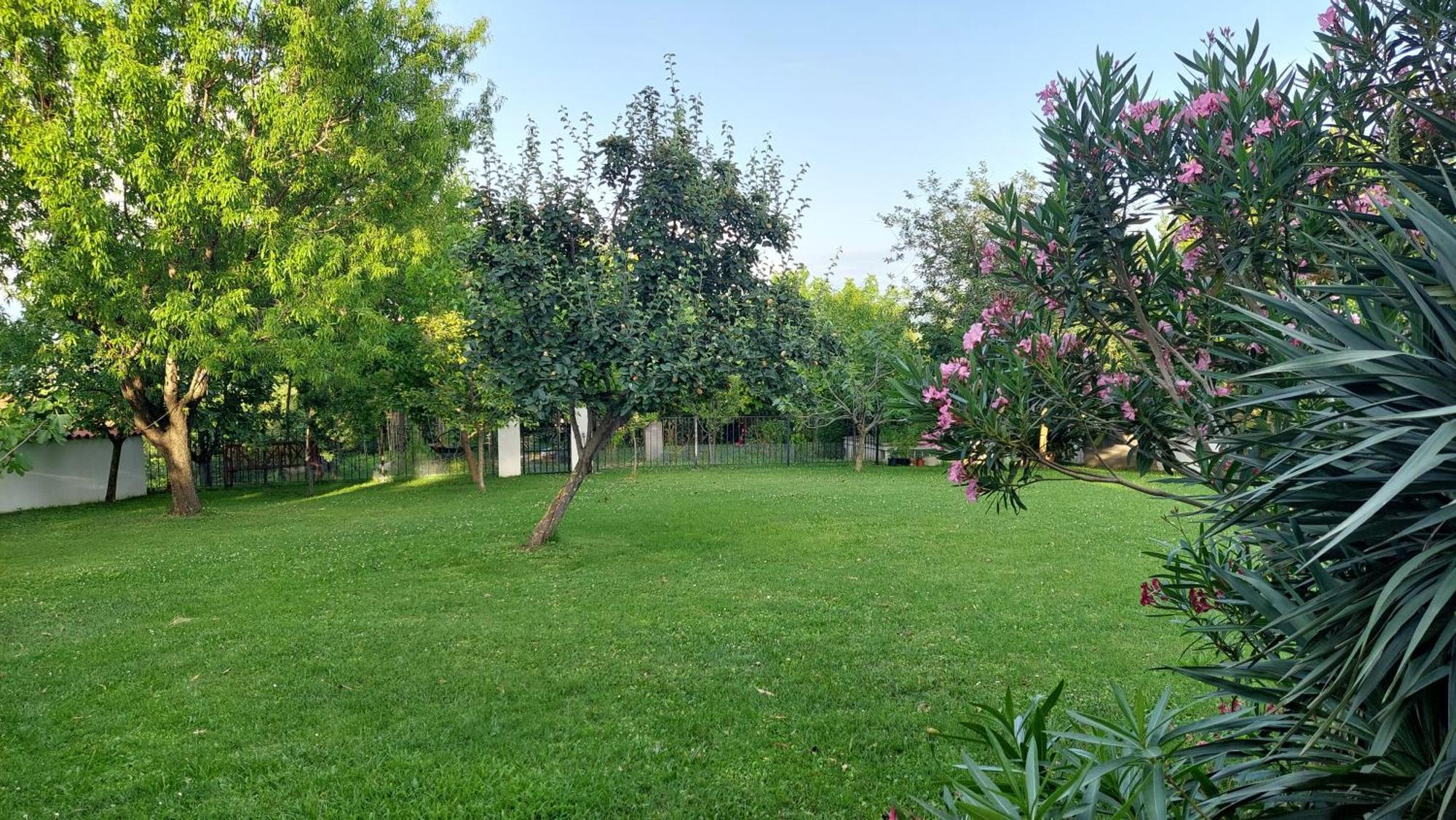Apartment Oaza Relax Koper Dış mekan fotoğraf